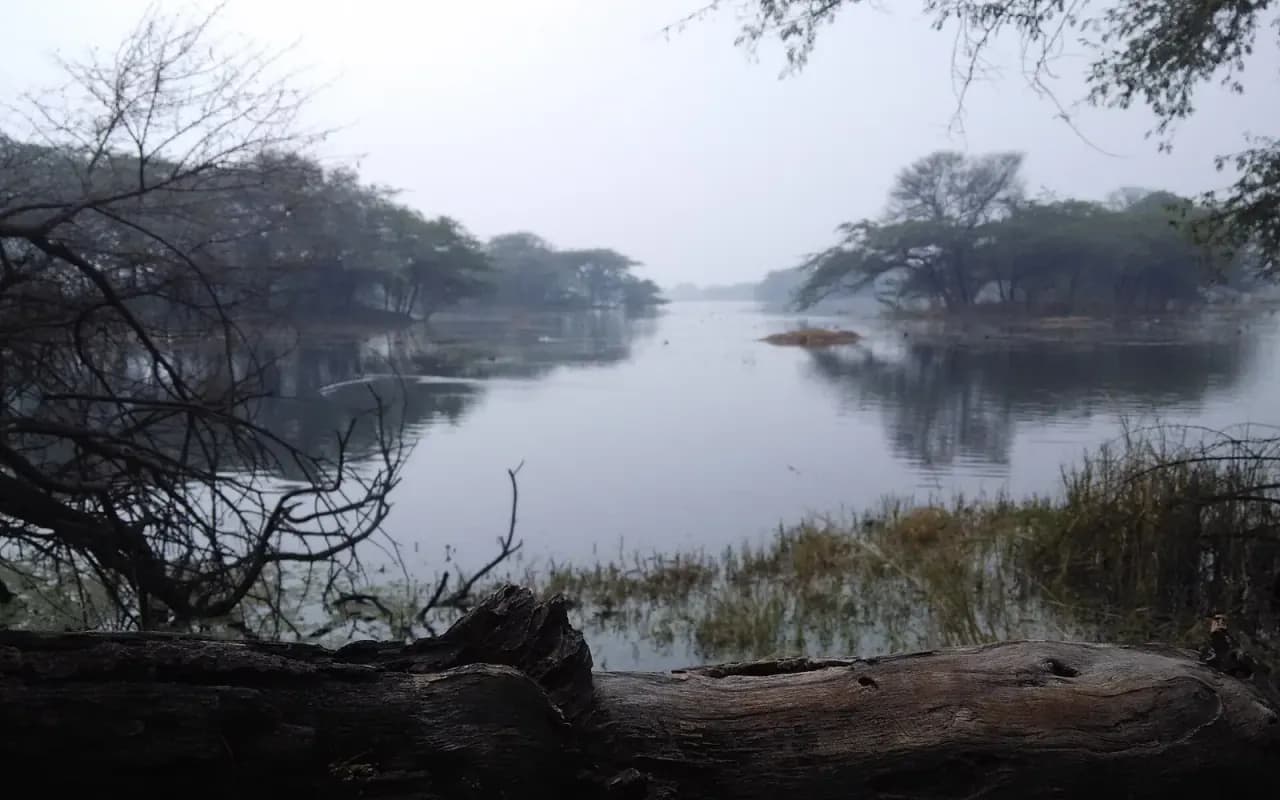 3 Days Haryana Heritage & Wetlands travel scene in India