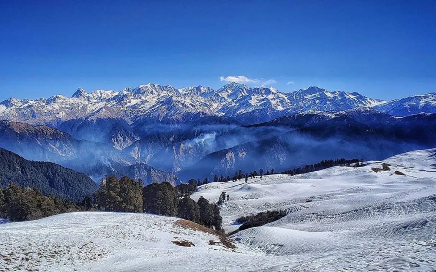 Alpine meadow scenery representing the Panwalikantha Trek