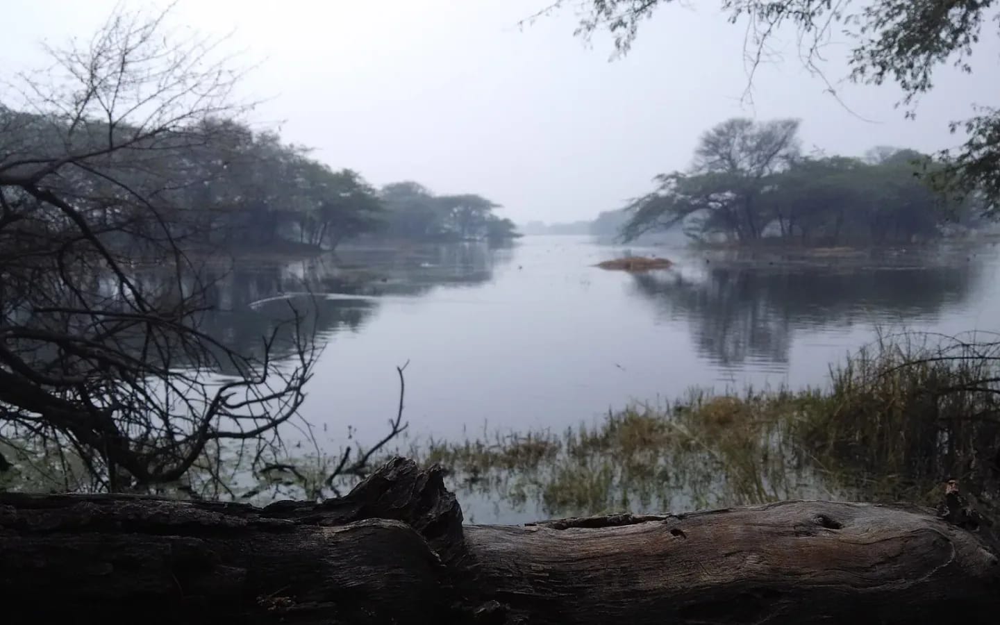 3 Days Haryana Heritage & Wetlands travel scene in India