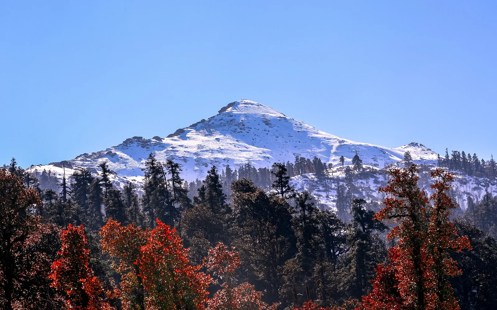 Kedarkantha Trek travel scene in India