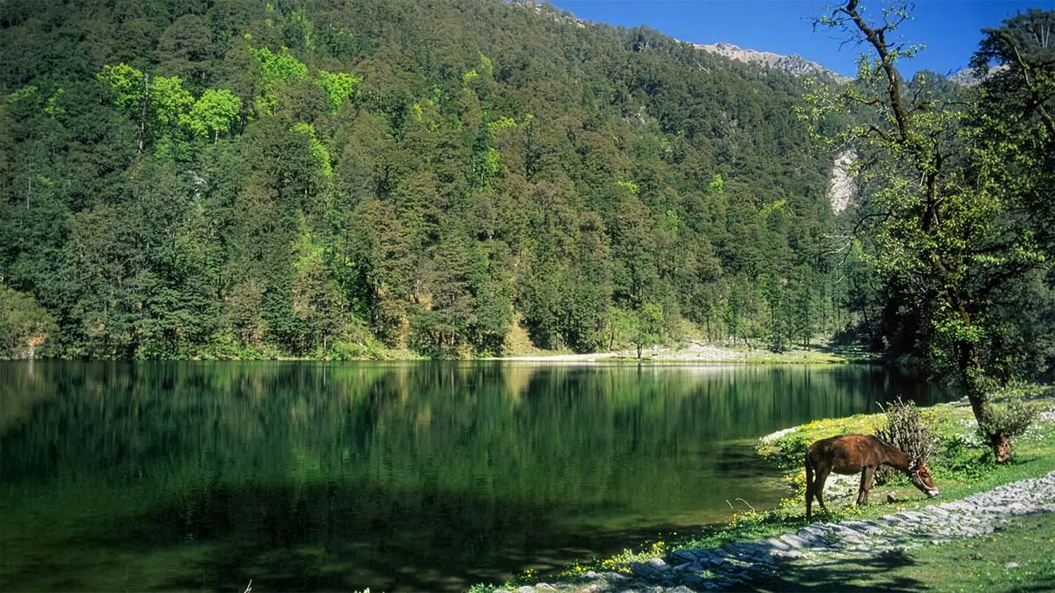 Dodital Trek Himalayan adventure visual